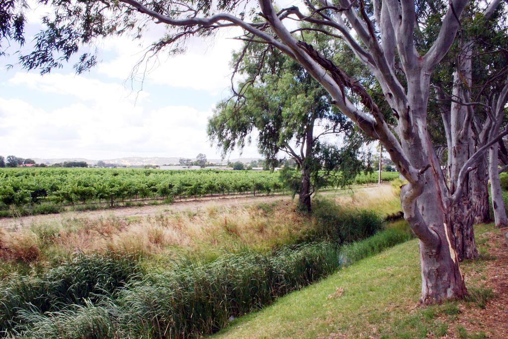 Vine Inn Barossa Ньюеріутпа Екстер'єр фото